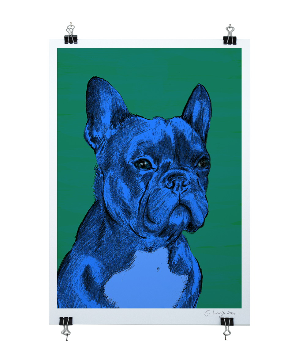 The French Bulldog - Evie Kemp