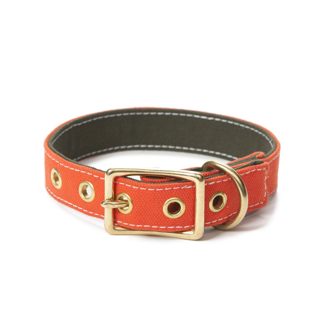 Canvas Collar in Orange/Olive