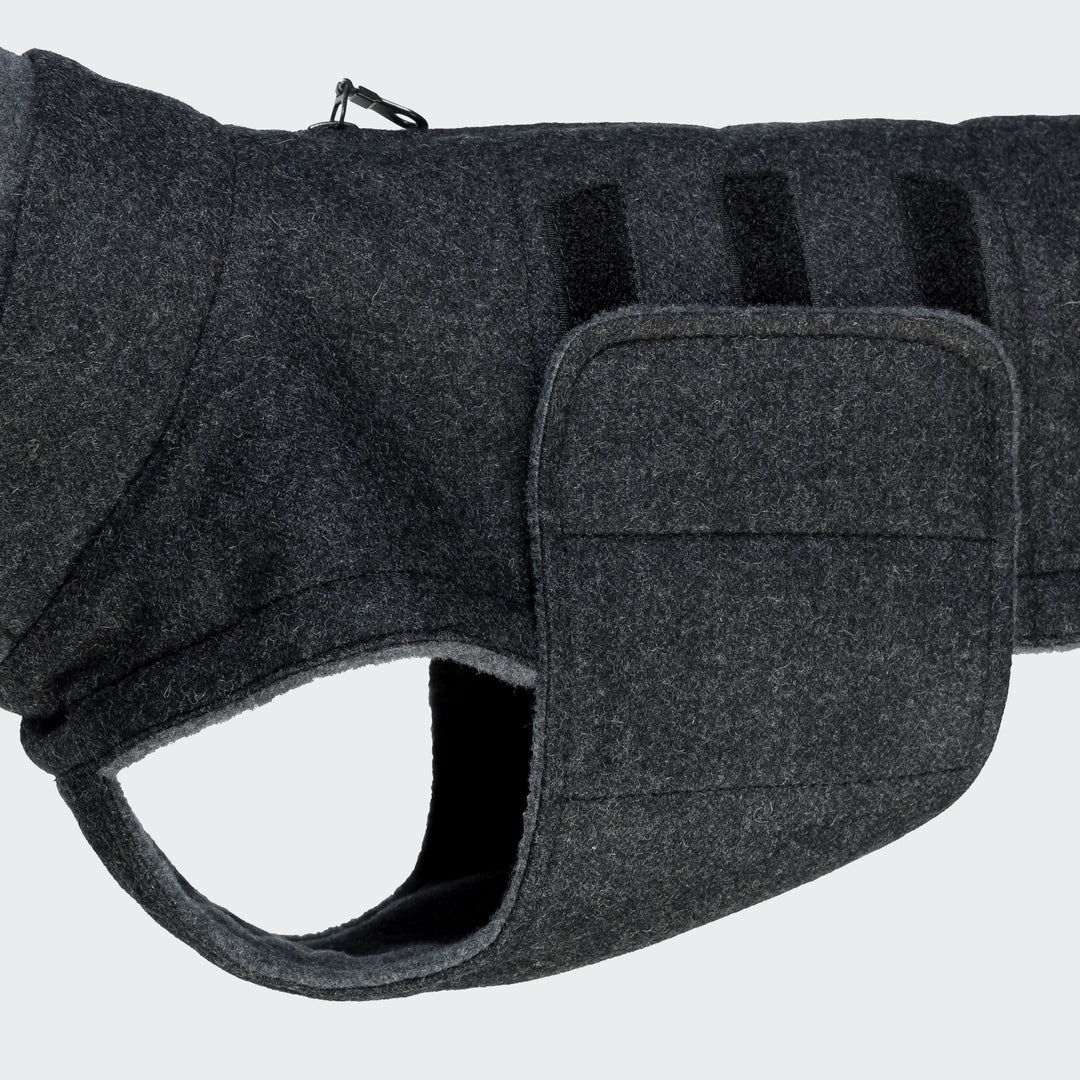 Dachshund Coat Brooklyn Flannel Anthra Grey from Cloud 7