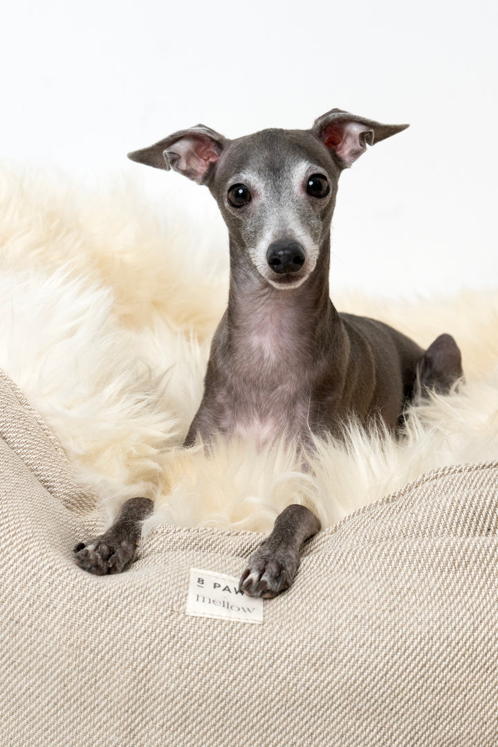 8 Paws X Mellow Sheepskin Retreat Bed