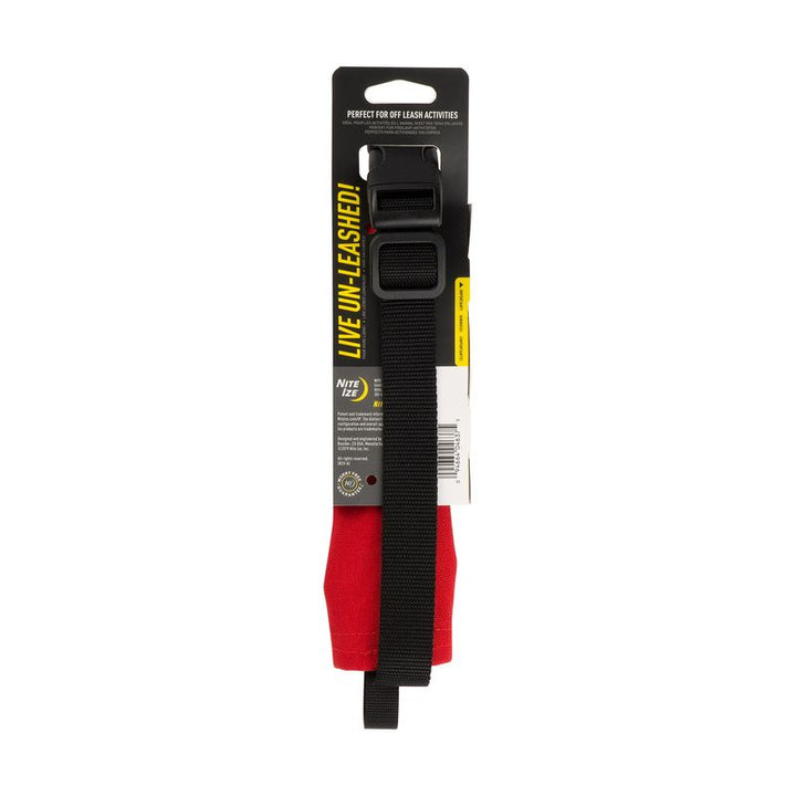 RADDOG All-in One Collar & Leash from Nite Ize