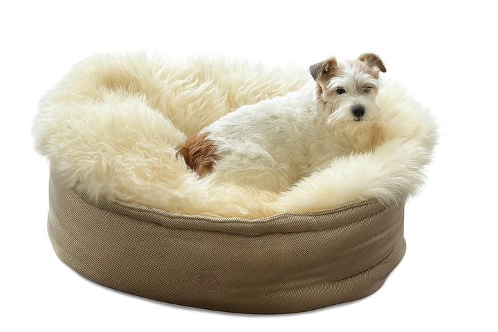 8 Paws X Mellow Sheepskin Retreat Bed