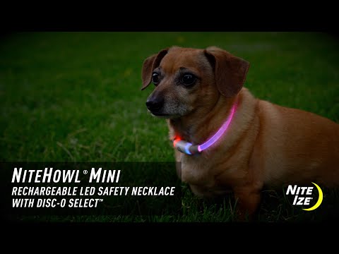 NiteHowl Mini Rechargeable LED Safety Necklace 0 Disc-O Select