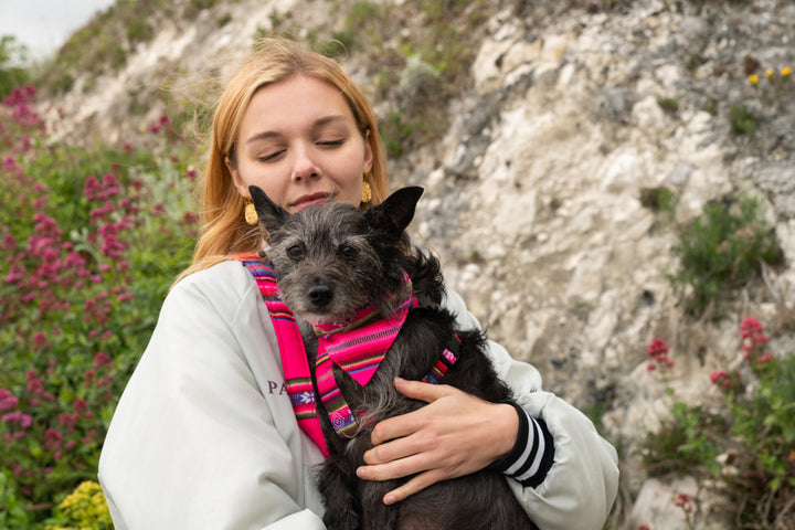 Inca Pink Dog Bandana by Hiro + Wolf