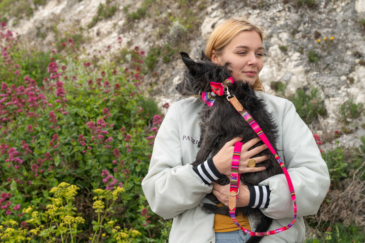 Inca Pink Classic Lead by Hiro + Wolf