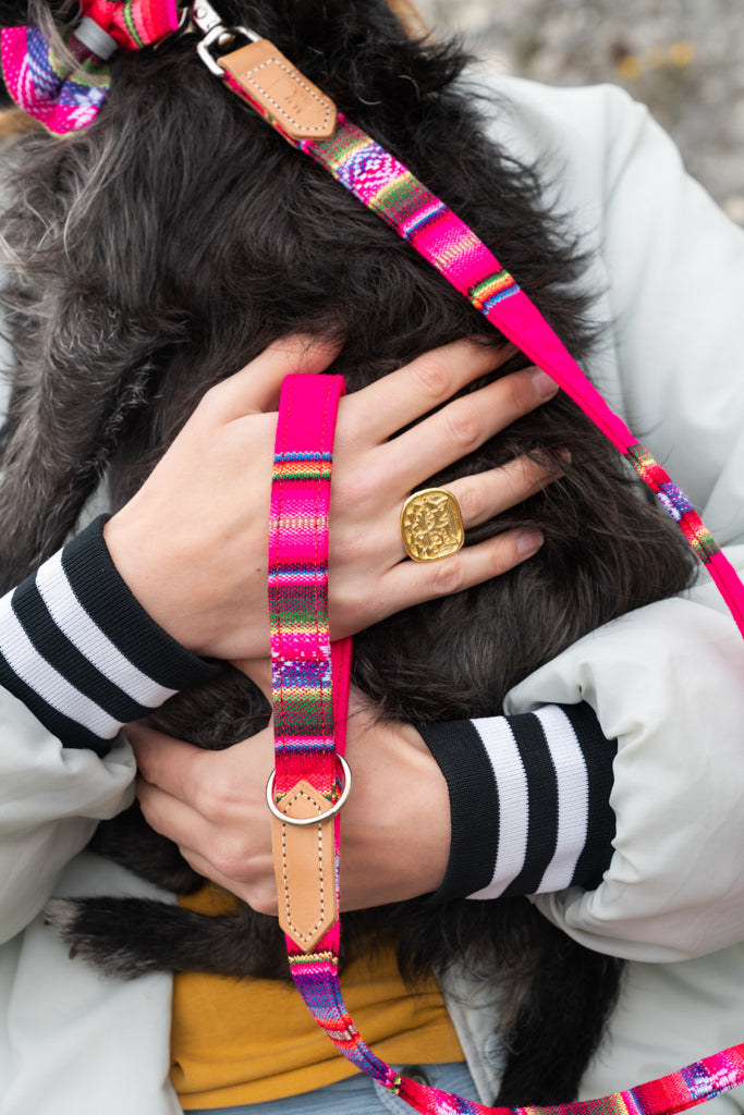 Inca Pink Classic Lead by Hiro + Wolf