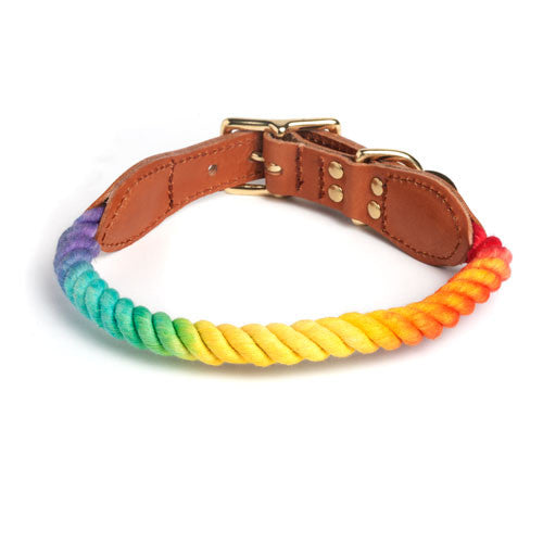 Rope Collar in Prismatic