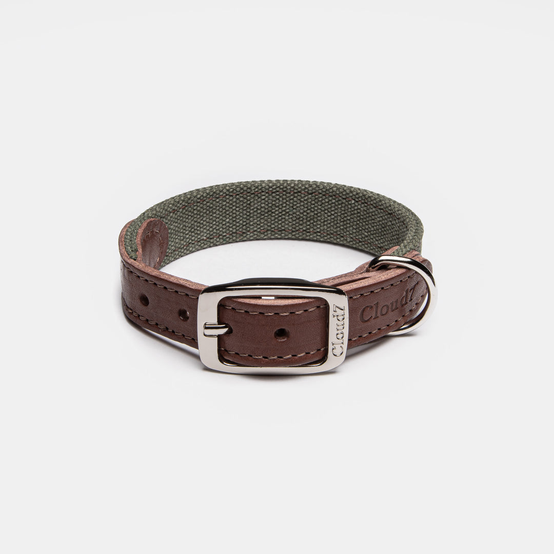 Tivoli Dog Collar in Olive from Cloud 7