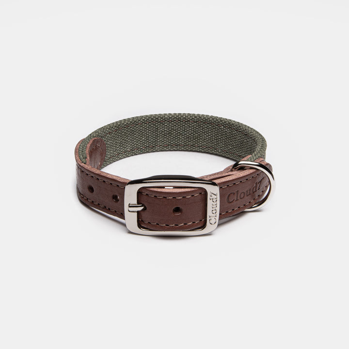Tivoli Dog Collar in Olive from Cloud 7