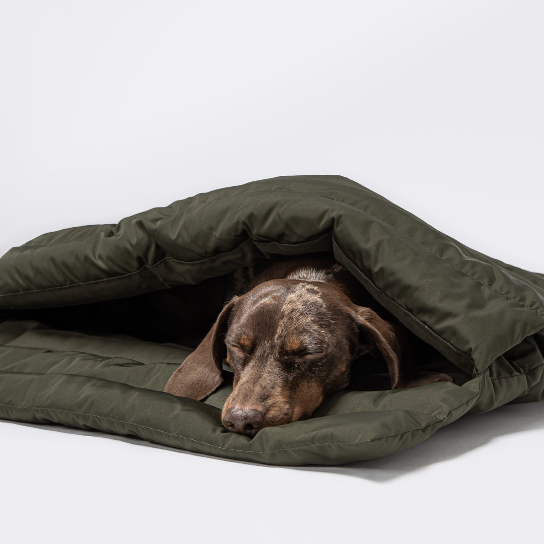 Dog Sleeping Bag Vancouver Olive from Cloud 7