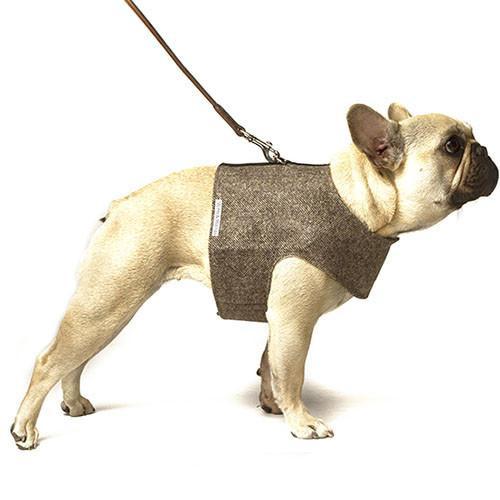 Herringbone Tweed Soft Harness