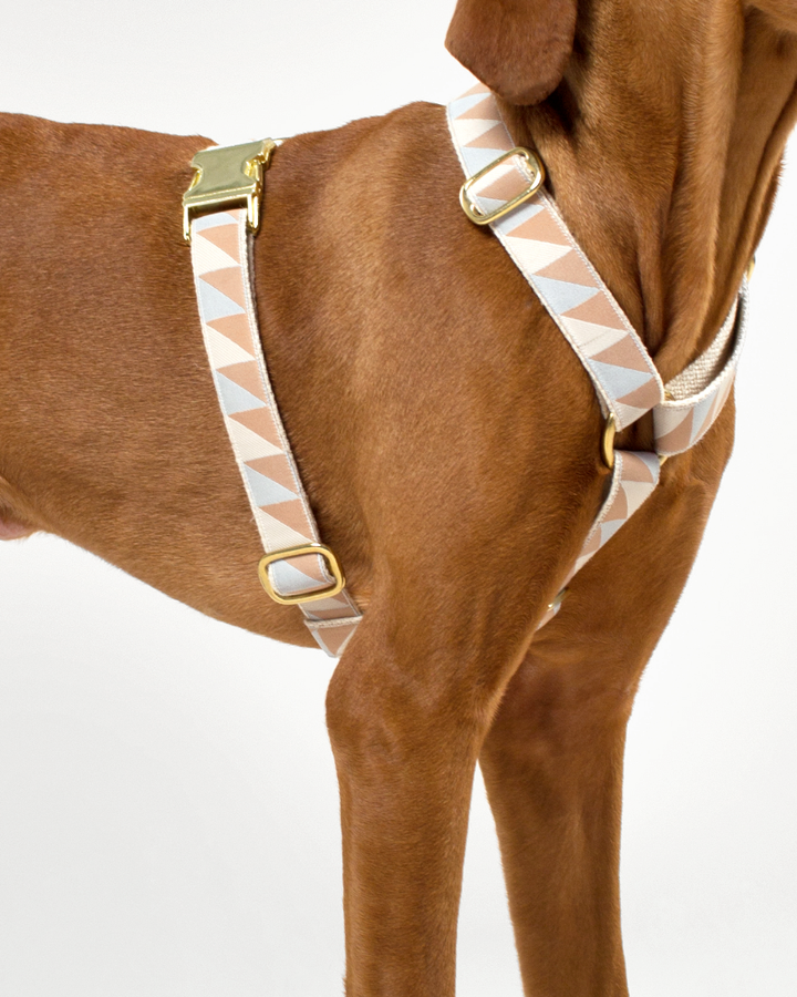Nice Grill Harness - Ice Blue, Ivory and Cream from By Scout