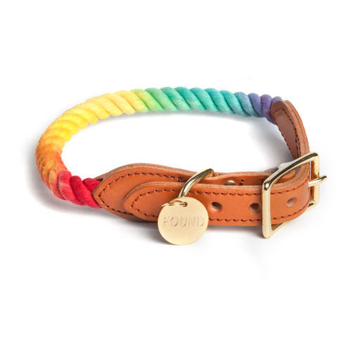 Rope Collar in Prismatic